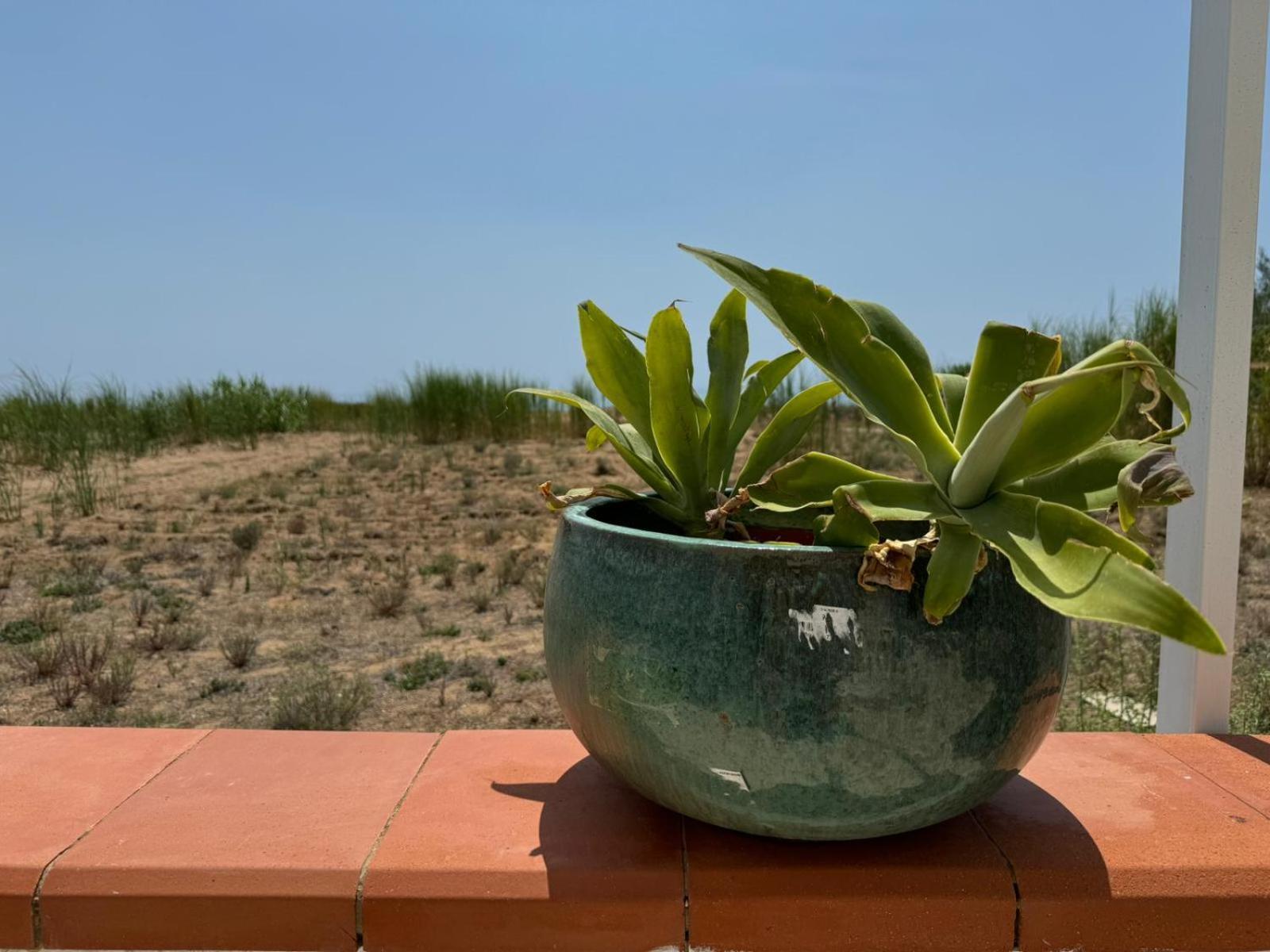 Fin Fiori Villa Menfi Dış mekan fotoğraf