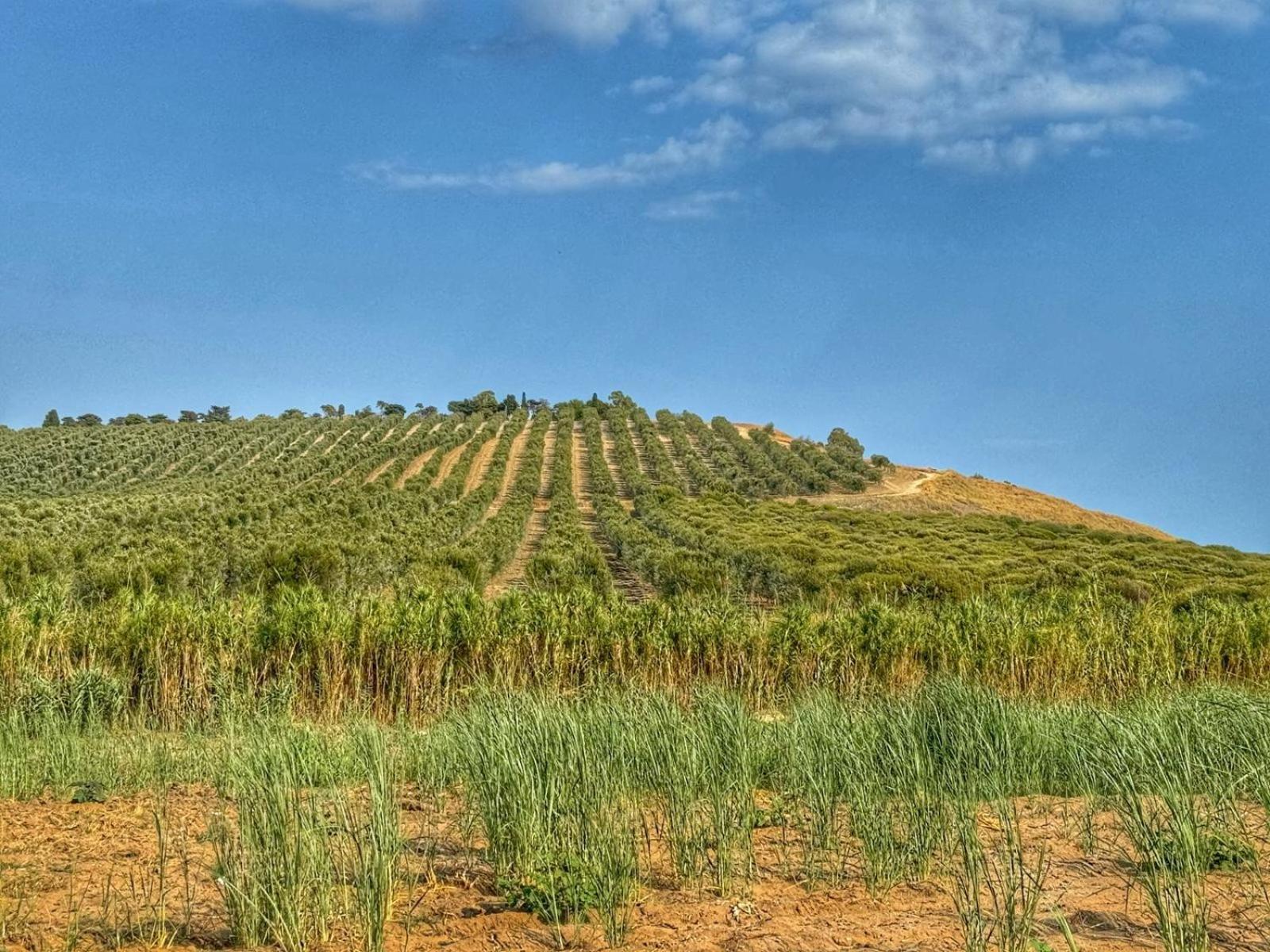 Fin Fiori Villa Menfi Dış mekan fotoğraf