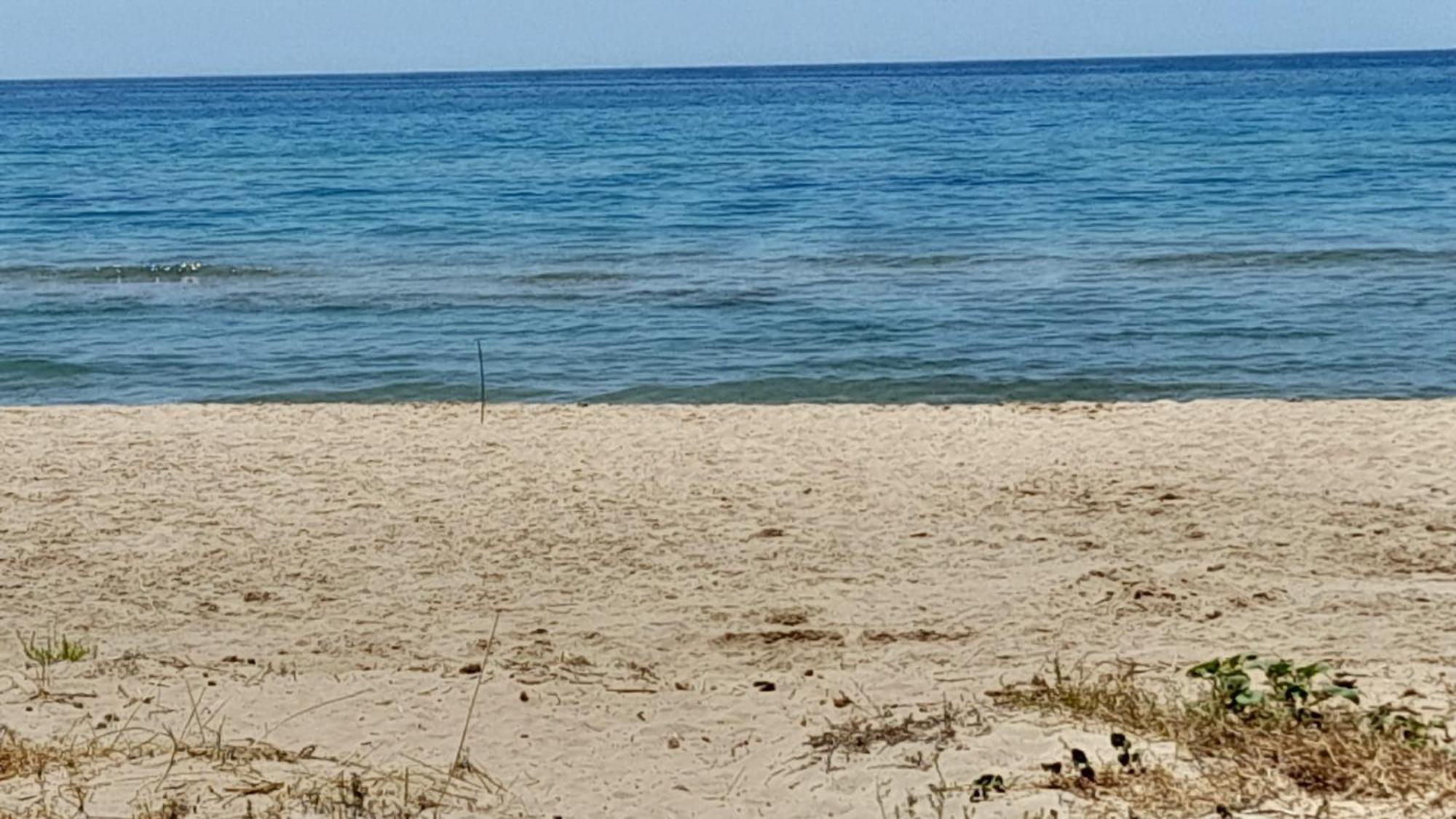 Fin Fiori Villa Menfi Dış mekan fotoğraf